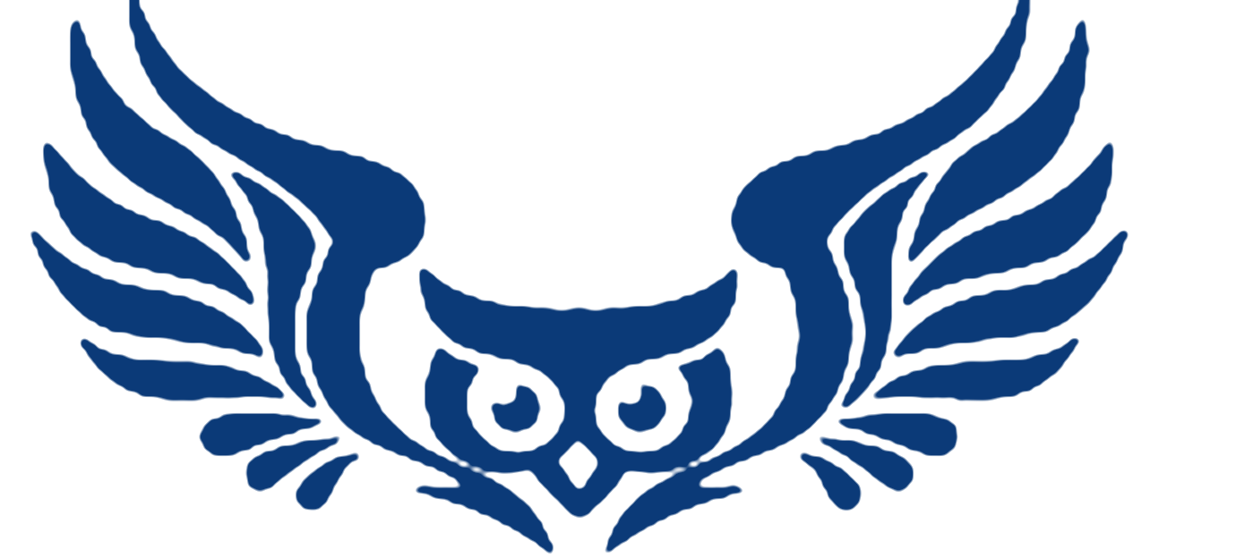 Digital Surveillance System Canada owl logo